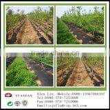 Weed Control Sheet "Anti Weed+" thumbnail-5