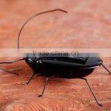 Factory Cheap Price Solar Toy Cockroach Early Educational Toy For Children Funny Solar Powered Moving Cockroach Toy thumbnail-1