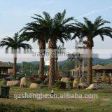 artificial large palm tree with steel plate for decoration