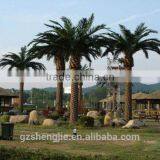 Artificial Large Palm Tree With Steel Plate for Decoration thumbnail-1