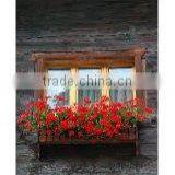 Iron Flower Window Box (LMW_12P09)