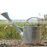 Galvanized Metal Watering Can(27 Years Experiences) thumbnail-1