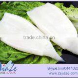 Frozen Squid Tube - Clean Tube thumbnail-1