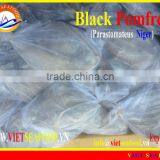 FROZEN BLACK POMFRET WHOLE ROUND thumbnail-1