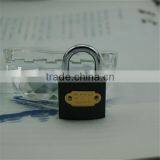 TOP SECURITY IRON PADLOCKS