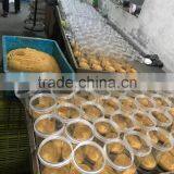 Best Ceramic and Activated Carbon Water Purifier thumbnail-4