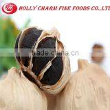 BLACK GARLIC for Sale thumbnail-3