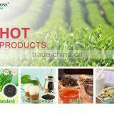 Green Tea, Chunmee (Article No. 9367), Loose Leaf Tea thumbnail-3