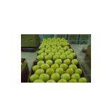 Lemon China / Sichuan Lemon/ Fresh Lemon/eureka Lemon thumbnail-1