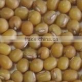 Organic yellow mung bean