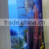 china stationery manufacturer 3d printing clip folder