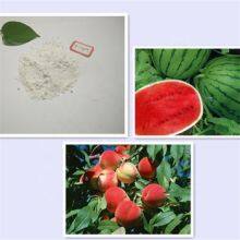 Plant Promoter 4-cpa 4-chlorophenoxyacetic Acid 98%tc in Agriculture thumbnail-2