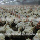 Automatic Poultry Nipple Drinking System for Chicken thumbnail-2