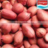 Hot Sale Red Peanut From China
