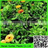 Tomato Supporting Netting / Plastic Plant Climbing Net thumbnail-4
