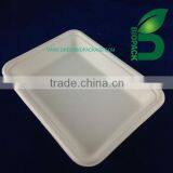 Eco-friendly Sugarcane Bagasse Biodegradable Plates thumbnail-1