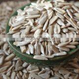 Naked Sunflower Seed Kernels Confectionary and Bakery thumbnail-2