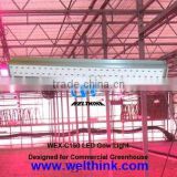 LED grow light for Greenhouse Lighting,LED Hydroponics lighting,LED indoor gardening lighting