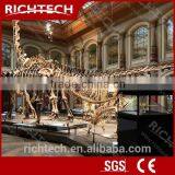 Appealing 3d Hologram Advertising Showbox for Brand Promotion