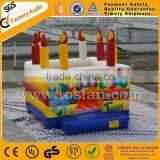 Commercial Quality Inflatable Birthday Bounce House for Party A1103