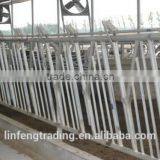 Poland/Russia Market Cow Neck Cangue Low Price thumbnail-2