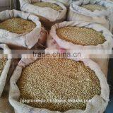 Fresh Coriander thumbnail-2