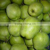 Fresh Early Su Pear Sweet Pear Exporter in China thumbnail-6
