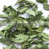 Dried black currant leaves