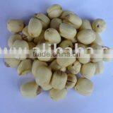 Lotus Seed thumbnail-1