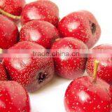 2015 Popular Healthy no Additive and Good for Digestion Haw Soft Drinks thumbnail-5