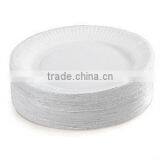 Uncoated Disposable Plate