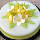 Agar Powder to Make Jelly Cake From Gracilaria thumbnail-1