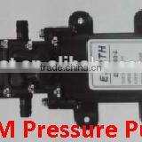 ILot 4LPM Pressure Sprayer Pump Used in Gardening Agriculture