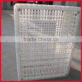 Chicken Transport Trays thumbnail-4