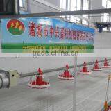 Poultry Equipment for Broiler thumbnail-1