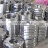 Professinal Manufacture Stainless steel flange