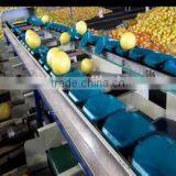 Pomegranate Grading Machine Sorter Grader thumbnail-3