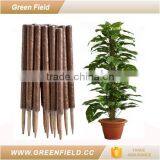 Eco-friendly Garden Pot Plant Support Stakes thumbnail-1
