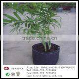 Gardening Use Non Woven Fabric thumbnail-6