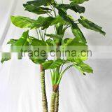 Wholesale Indoor Use Bonsai thumbnail-5