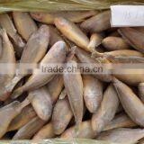 Frozen Yellow Croaker 40-100 thumbnail-5