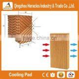 Factory Price Trade Assurance Greenhouse Evaporative Agriculture Cooling Pad thumbnail-3
