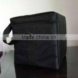 New Arrival Promotional Disposable Cooler Bag for Frozen Food thumbnail-3