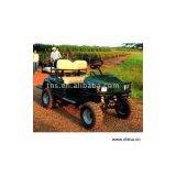 Sell Gas Golf Cart thumbnail-1