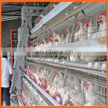 Battery Cages Laying Hens/battery Cages Laying Hens Layer Cage Chicken Feeding 90 - 200 Chicken One Set Low Carbon Steel Wire thumbnail-2