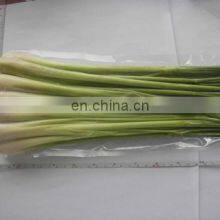 Frozen Vietnam Lemongrass With High Quality