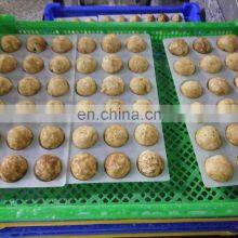 Hot Sale Roasted Octopus Ball Frozen Takoyaki for Export thumbnail-5