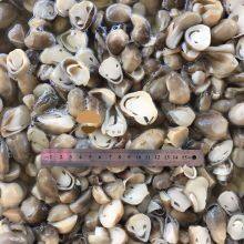 Peeled Paddy Straw Mushroom in Brine Volvariella Volvacea thumbnail-2