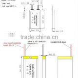 Li-ion Polymer Battery thumbnail-1