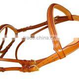 Leather bridle